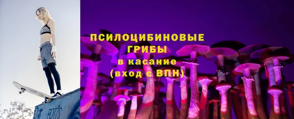 эйфоретик Алексин